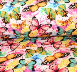 Teplákovina motýlci barevní jako živí