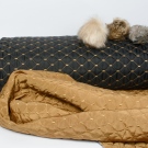 V hořčicovém luxusu