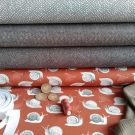 Šnek závodník na hnědé taupové