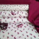 Podzim ve fuchsiové