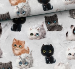 Teplákovina potisk chlupatá koťátka na světle šedé