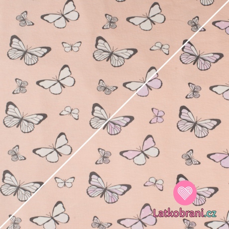 Magický měnící se úplet motýlci na zaprášené růžové