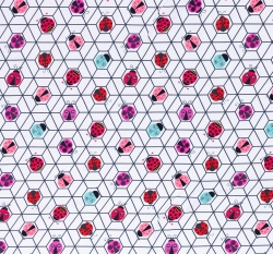 Úplet berušky na bílé 