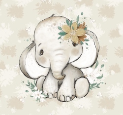 Panel sloní slečinka