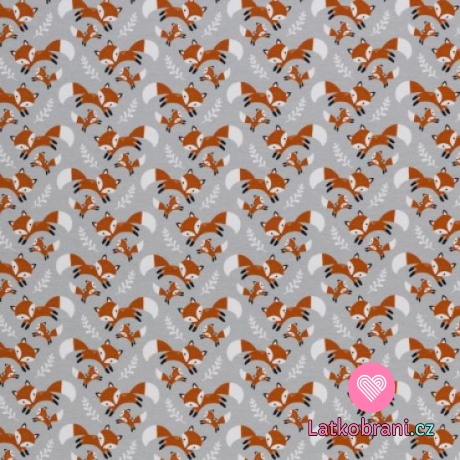 Úplet potisk dovádivé lištičky na šedé