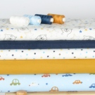 Medvědí výlet do noční oblohy