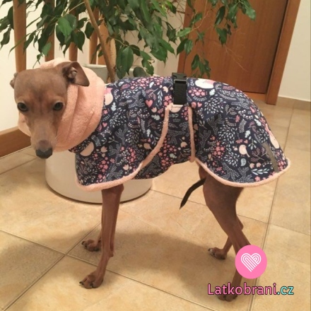 Bunda pro chrtičku