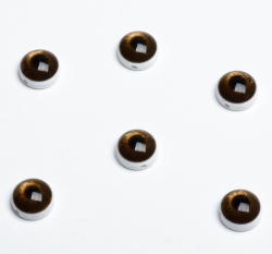 Knoflík oko hnědé