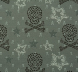 Softshell s fleecem potisk lebky na šedé