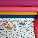 Motýlci a broučci na bílé