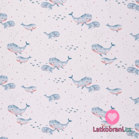 Úplet potisk velryby na bílé