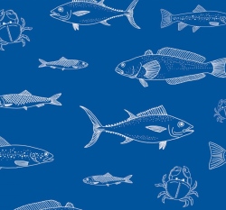 Úplet mořský svět na modré 