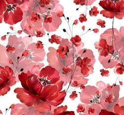 Teplákovina potisk vlčí mák na bílé