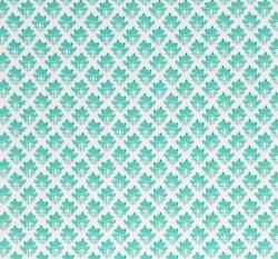 Úplet potisk mintové žabky na bílé