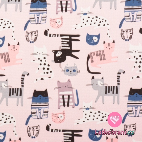 Softshell letní potisk kočky na růžové 