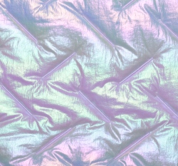 Prošev lesklý duhový 