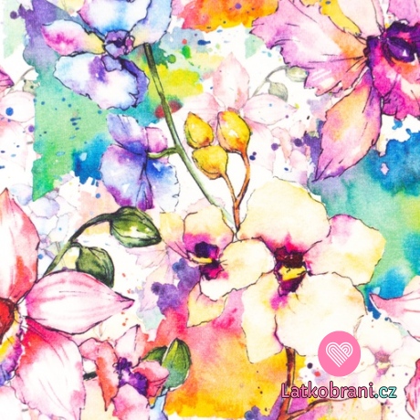 Úplet potisk duhové květiny na bílé 