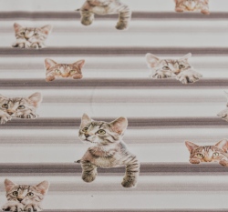 Úplet digitisk vykukující kočičky na proužku