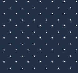 Úplet potisk bílé hvězdičky na námořnické modré 