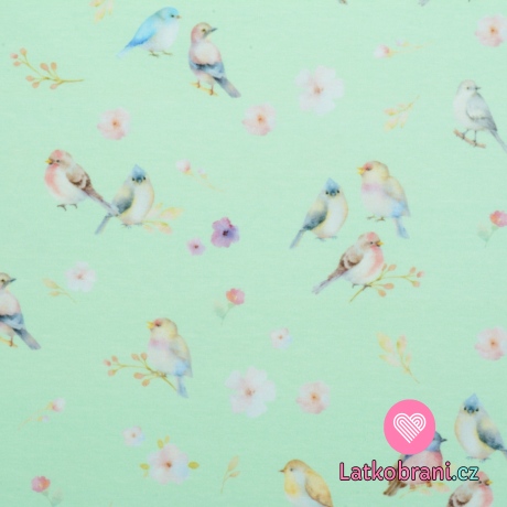Úplet potisk ptáčci na pistáciové
