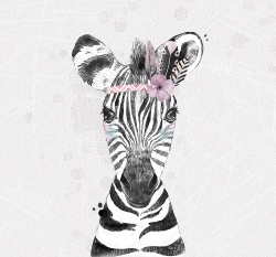 Panel zebra s čelenkou na světle šedé