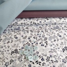 Motýlci mezi šedými kvítky