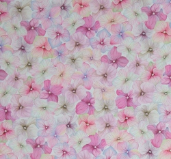 Softshell s fleecem růžové hortenzie na bílé