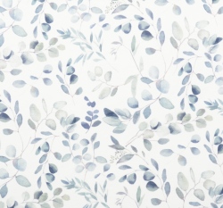 Úplet modré větvičky eukalyptu na bílé 