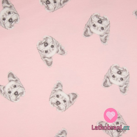 Teplákovina potisk jorkšíři na sladké růžové