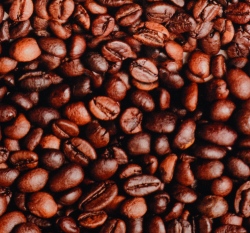 Teplákovina potisk zrnka kávy