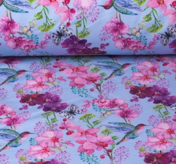 Teplákovina potisk kolibříci a motýli mezi orchidejemi na modré