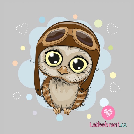 Panel sova pilot na šedé