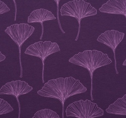 Úplet ginkgo biloba na tmavě fialové 