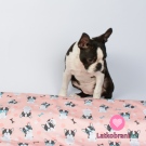 Teplákovina buldočci na růžové