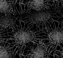 Teplákovina potisk pavučina na černé 