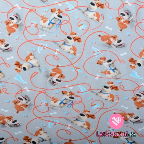 Úplet potisk hravý Jack Russel teriér na šedé