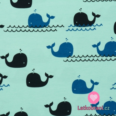 Úplet potisk velryby na moři