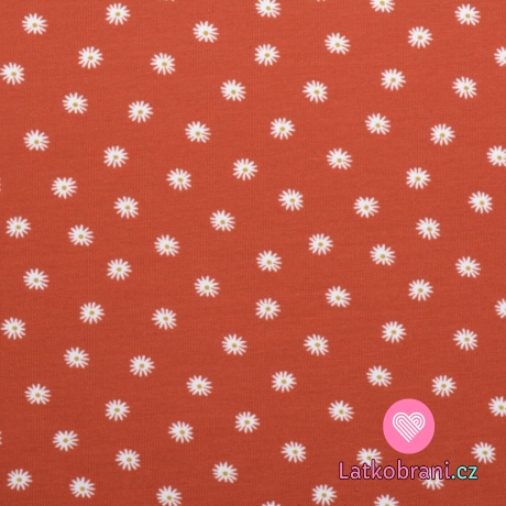 Úplet potisk sedmikrásky na cihlové, BIO