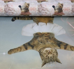 Panel úplet digitisk kocour na knihách