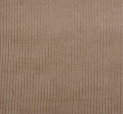 Manšestr velbloudí hnědá 