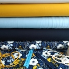 Podzimní kvítí na modré