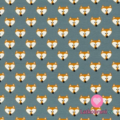 Úplet potisk mazaná lištička na zaprášené modré